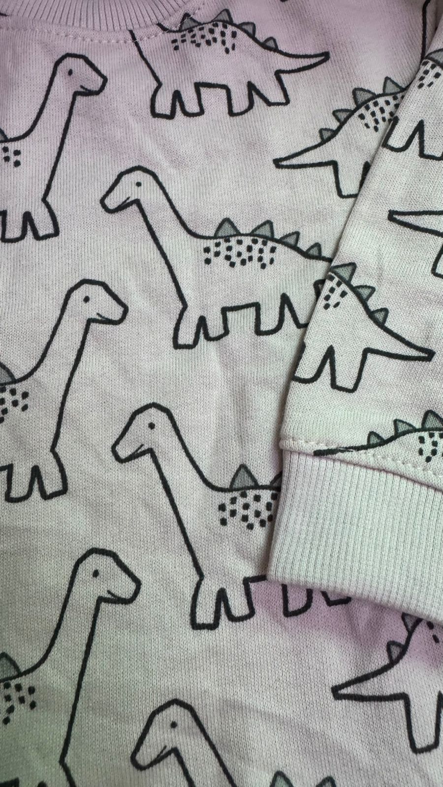 Dino Sweatshirt light fleece