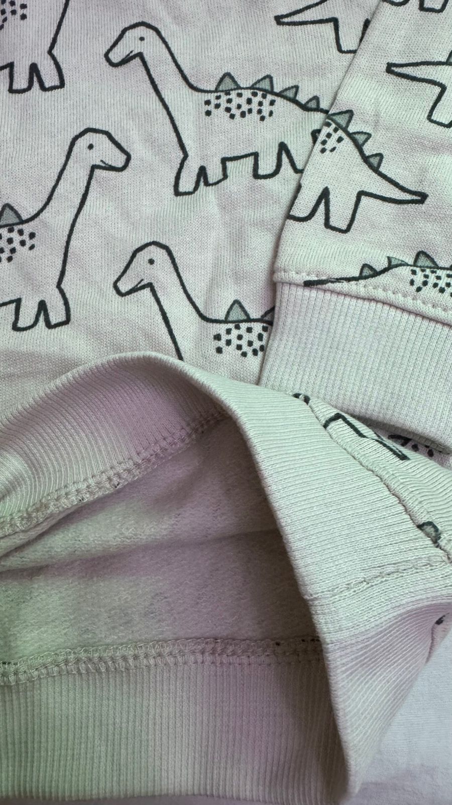 Dino Sweatshirt light fleece